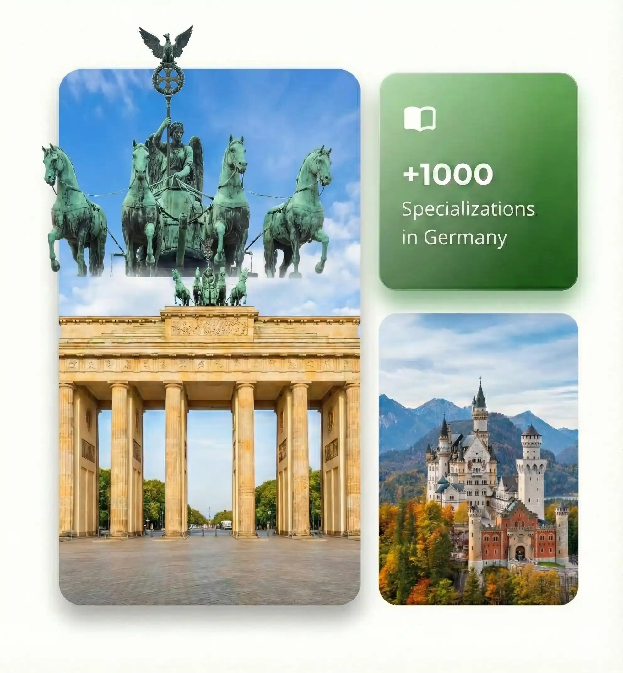 Study in Germany