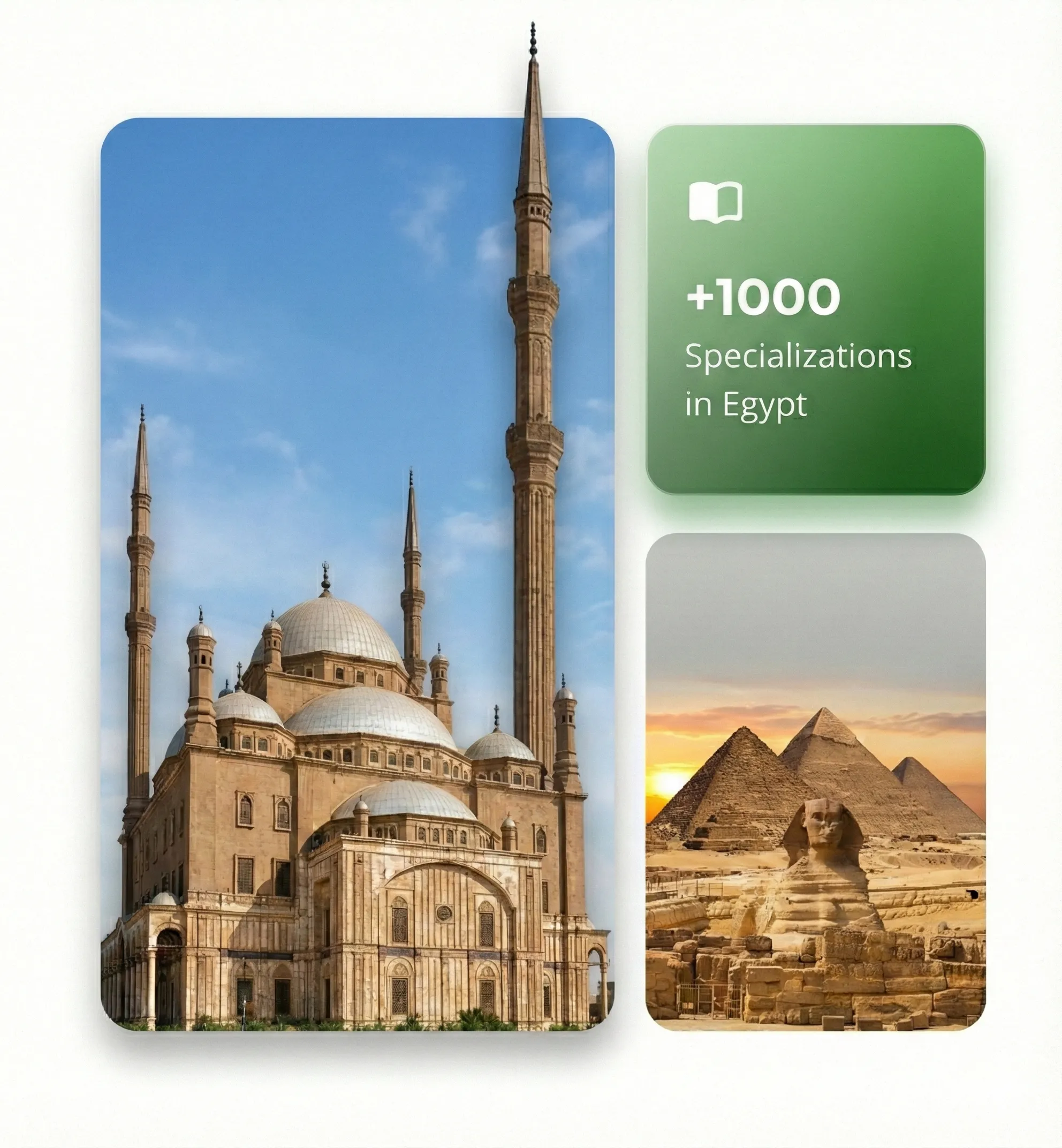 Study in Egypt